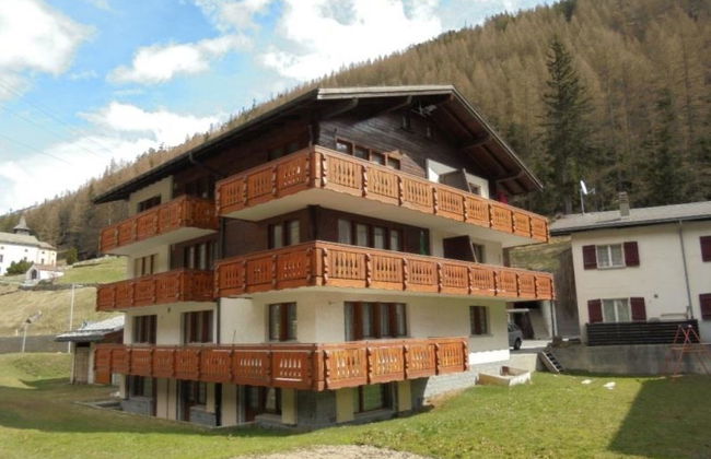 Silberdistel - Foto 3