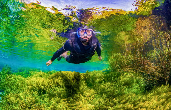 Snorkeling dans la rivière Sucuri - Photo 8