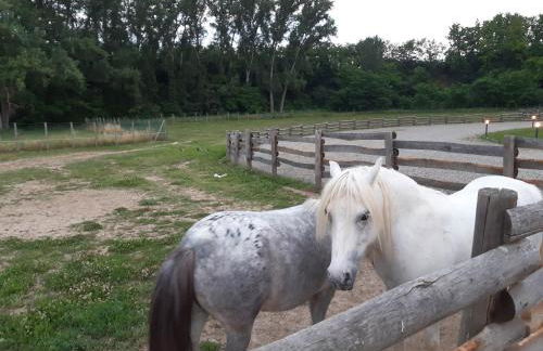 La Rondanina - Photo 16