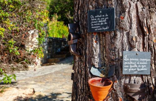 Les Oiseaux - Photo 17