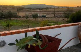 Monte da Freira - Foto 72