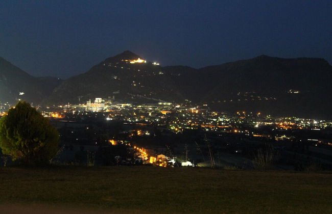 Azienda Agraria Montelujano - Photo 35