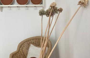 Dimora Serafina - Salento/Matino - Foto 18