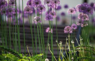 Lazur Lake - Foto 28