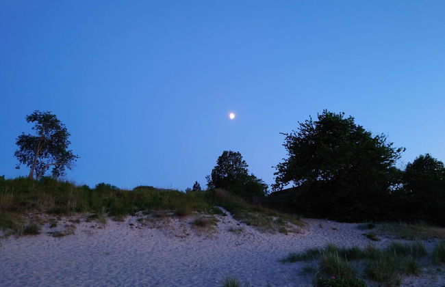 5 Person Holiday Home in Dronningmolle - Foto 18