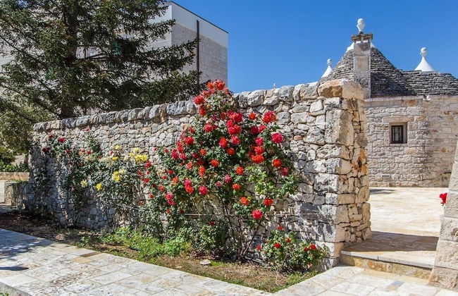 Tenuta Odegitria - Foto 80