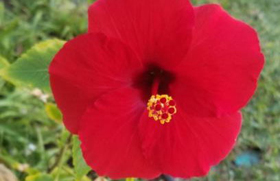 Pono Kai Resort #A101 - A Welcoming 2 Bdrm - 2 Bath, Private Beachfront Vacation Home - Foto 37