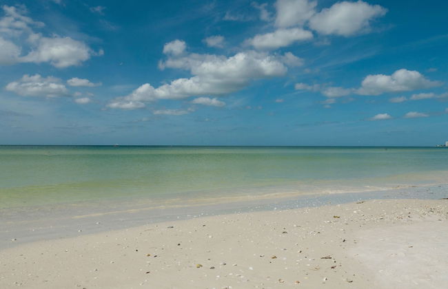 Siesta Palms By the Beach - Photo 75