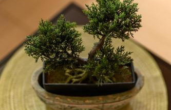 Makri Heights - Foto 51