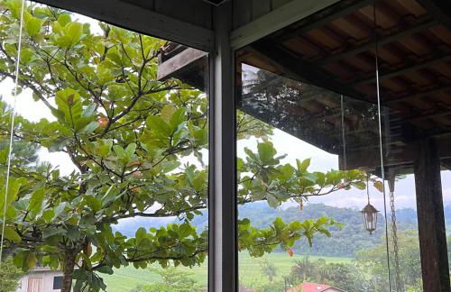 Pool amid the green - Foto 40