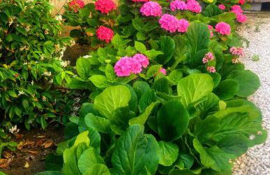 Marì casa vacanza - Foto 24