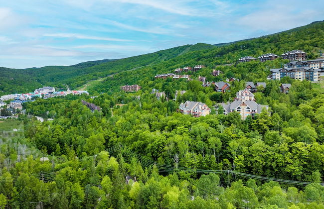 Les Haut Bois Condominiums -RVMT - Foto 75