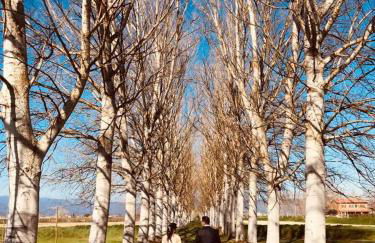 Agriturismo Settepassi Tuscany - Foto 55