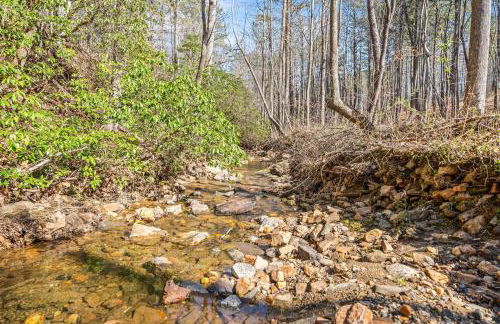 Creekside Cabin, Sauna, Near Wineries and BJ Reece - Foto 23