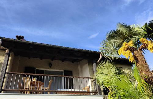 Feluca Porto - Photo 22