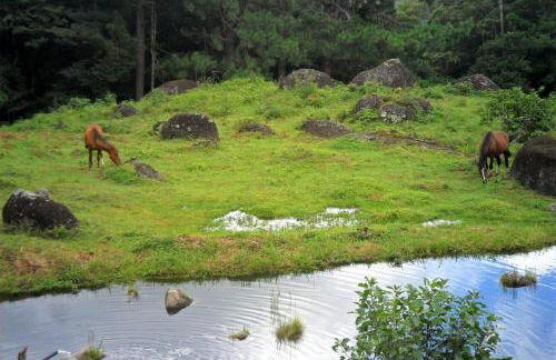 A Morada do Muriqui - Foto 37