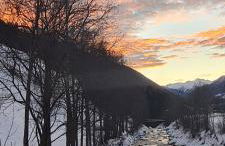 Seeberhof - Urlaub am Bauernhof - Foto 43