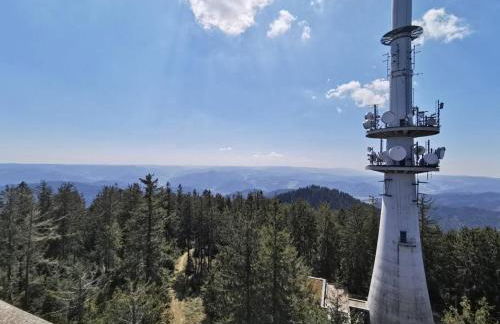 Traumhafte Maisonette-Wohnung im Schwarzwald - Foto 52