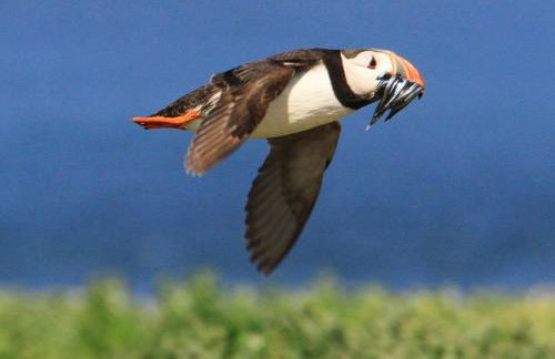 The Old Granary Seahouses - Foto 17
