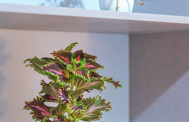 H&B apartments Qolga - Foto 48