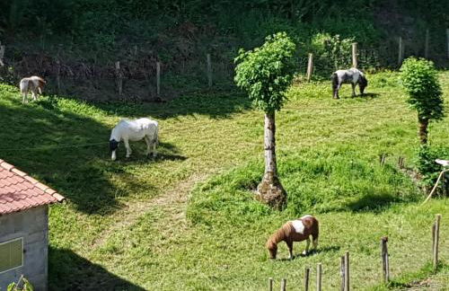 Gîte Alexandra - Photo 17