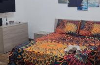 La Terrazza di Rovaglioso - Photo 17