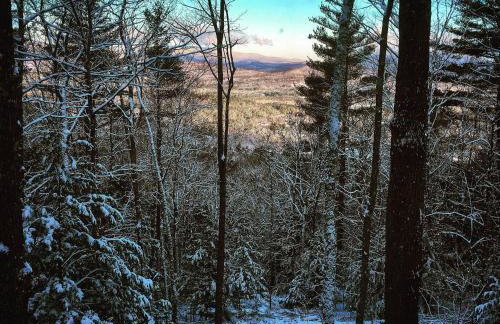 Mountain cabin with views, privacy, and more. - Foto 7