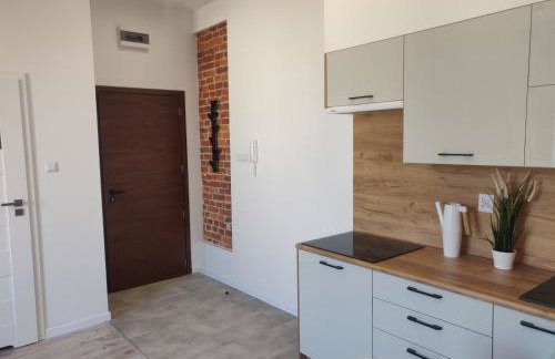 Konopnickiej 9 Apartament Loft dostęp na kod, Ptak, Orientarium, Atlas ARENA, Szpital, Mandoria, Fala, Centrum Zdrowia Matki Polki, Rodzina, Family, bezpłatny parking - Foto 7