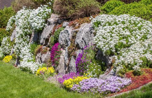 BERGSUCHT-Ruhpolding, Traumlage am sonnigen Südhang, kostenlose Parkplätze, schnelles WLAN, ruhige Sackgasse, NETFLIX inklusive - Foto 54