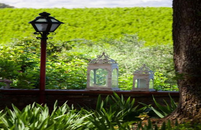 Golden Days in San Donato Home - Foto 35