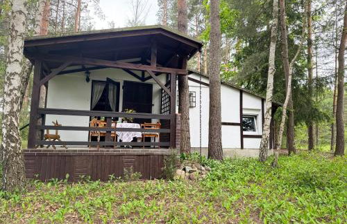 Chatka Poddębie - Foto 4