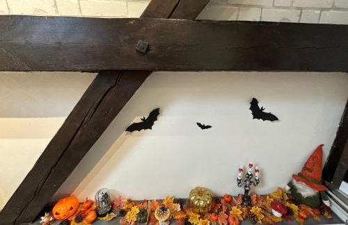 Le cocon de Marckolsheim proche Europapark - Foto 1