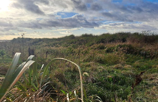 Lovely Holiday Home in Kalundborg near Sea - Foto 15