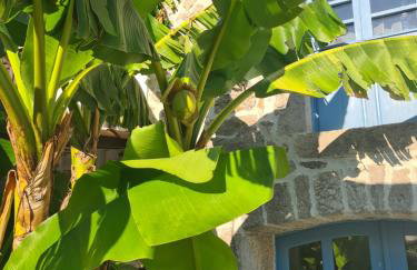 Villa Tona - Foto 48