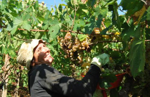 Agriturismo Torre Cristina - Foto 41