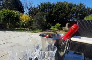 Sea Shells - Foto 35