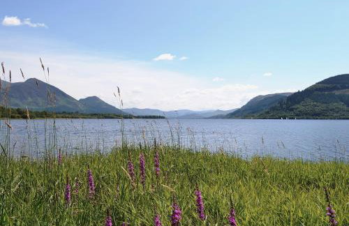 Cosy Cottage - Foto 9