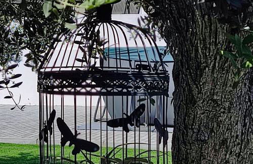 Casa das Andorinhas - Foto 22