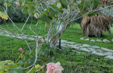 L'oasi nello Zingaro - Foto 15