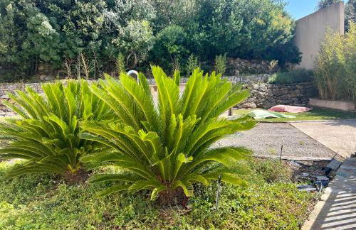 A Murella - maison de vacances à Oletta en Corse - Foto 62