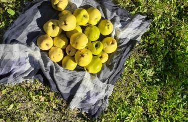 Quinta da Peça Douro Wine Region Retreat, Private Pool Villa - Foto 59