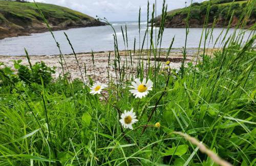 Portec la mer et le sentier côtier à pied - Foto 39