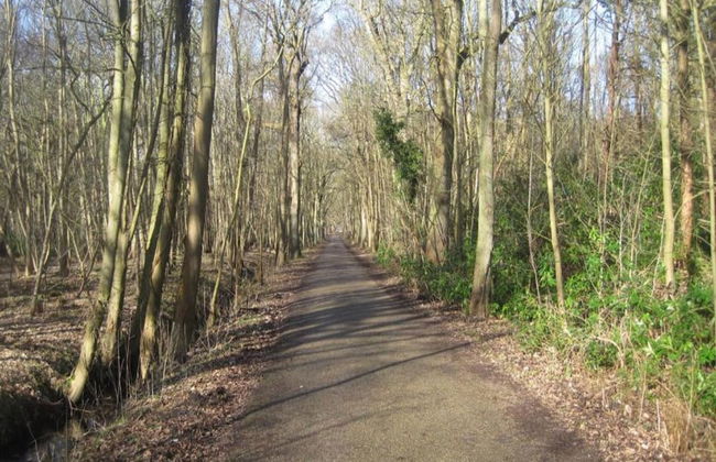 Cozy Chalet for Couples - Photo 26