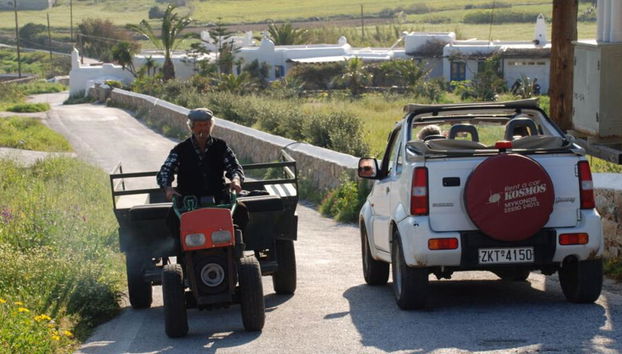 4x4 Safari in Mykonos - Half-Day Private Tour - Photo 5
