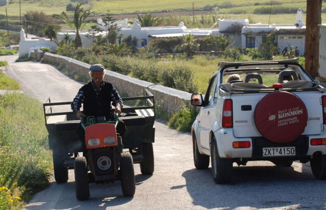 Safari in fuoristrada a Mykonos - Tour privato di mezza giornata - Foto 5