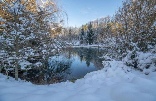 Pétillant Chalet aux 3 étangs avec SPA, Sauna et Véranda - Foto 50