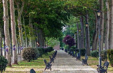 Apartamento La Herradura - Photo 12