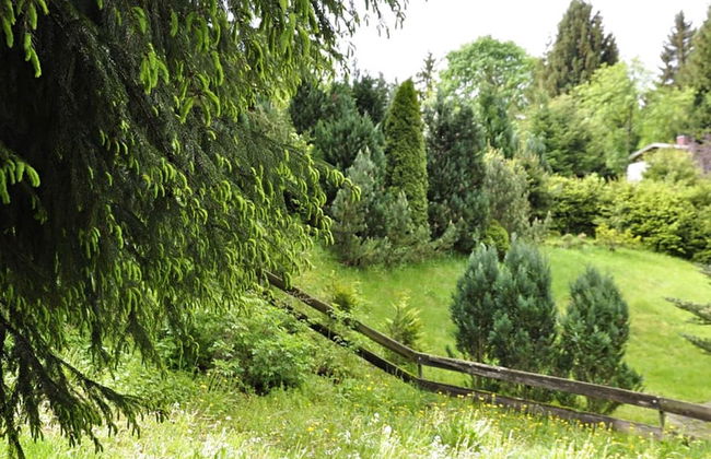 Comely Holiday Home in Güntersberge near Forest - Foto 21