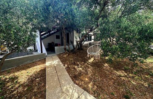 Apartmani Sladić - Photo 78