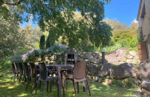 El Bosqueró de La Garrotxa - Foto 46